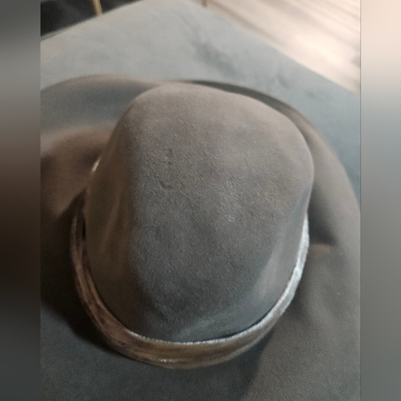 Eugenia Kim Taupe Emmanuelle Fedora main image 4